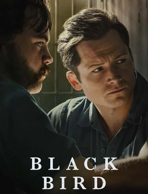 اشتراك فالكون برو FALCON Pro لمدة سنة: استمتع بكل لحظة دائماً وأبداً! 13 Serie-5