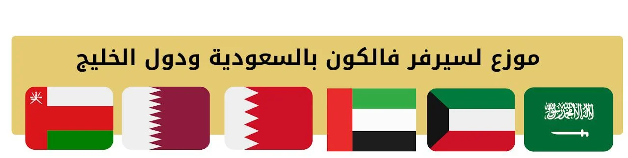 اشتراك فالكون برو FALCON Pro لمدة سنة: استمتع بكل لحظة دائماً وأبداً! 4 اشتراك فالكون برو FALCON Pro لمدة سنة: استمتع بكل لحظة دائماً وأبداً! - الصورة 4